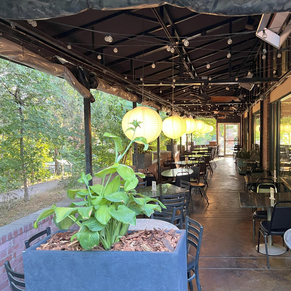 Covered restaurant patio with black tables, chairs, hanging globe lights, and a large leafy planter overlooking trees.