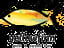 Yellowfinn Grill & Sushi Bar